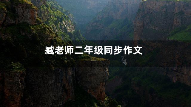 臧老师二年级同步作文