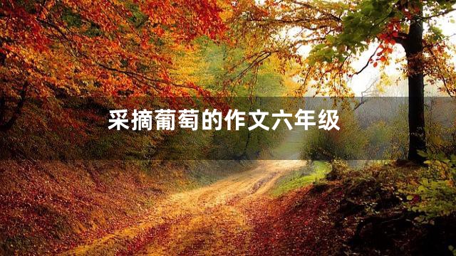 采摘葡萄的作文六年级