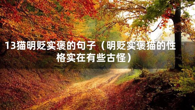 13猫明贬实褒的句子（明贬实褒猫的性格实在有些古怪）