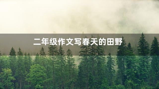 二年级作文写春天的田野