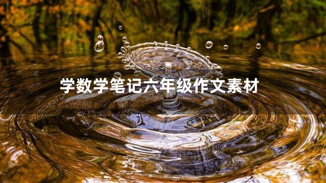 学数学笔记六年级作文素材