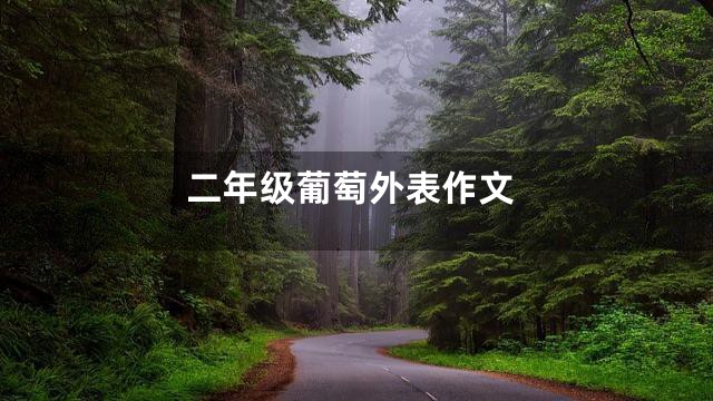 二年级葡萄外表作文