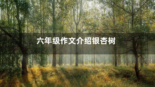 六年级作文介绍银杏树