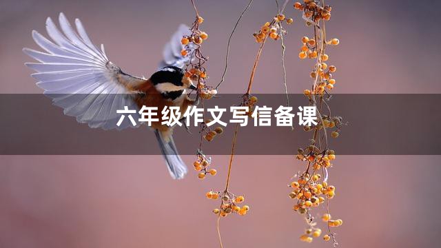 六年级作文写信备课