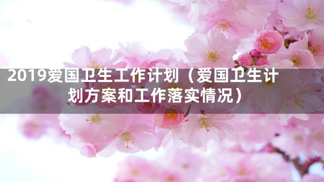 2019爱国卫生工作计划（爱国卫生计划方案和工作落实情况）