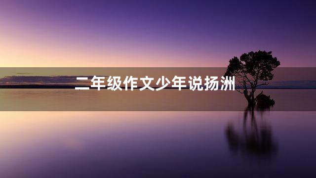 二年级作文少年说扬洲