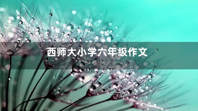 西师大小学六年级作文