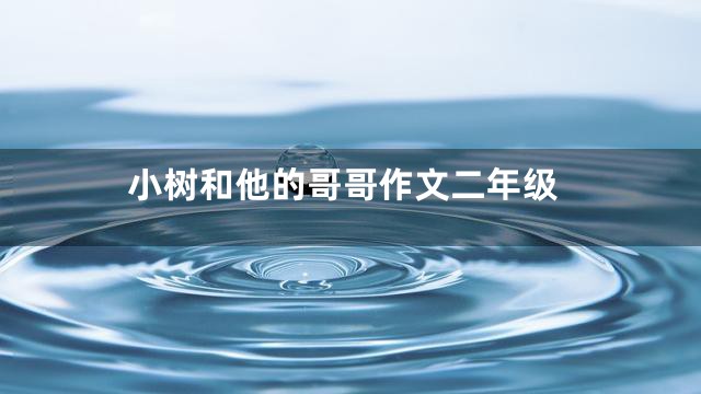 小树和他的哥哥作文二年级