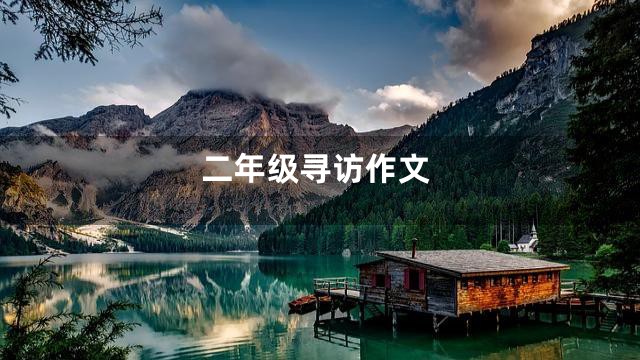 二年级寻访作文