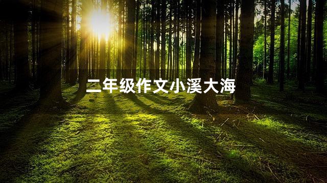 二年级作文小溪大海