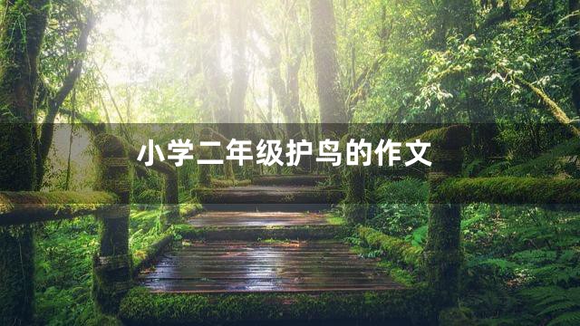 小学二年级护鸟的作文