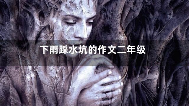 下雨踩水坑的作文二年级