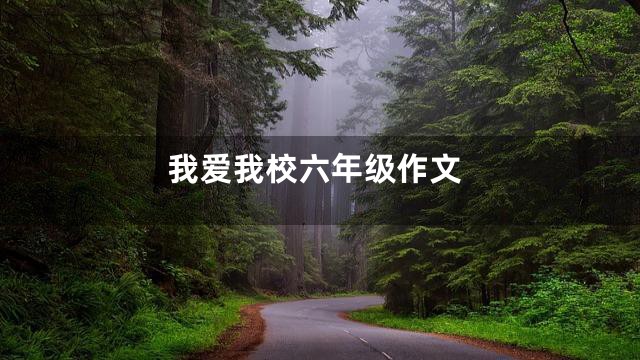 我爱我校六年级作文