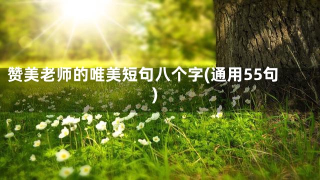 赞美老师的唯美短句八个字(通用55句)
