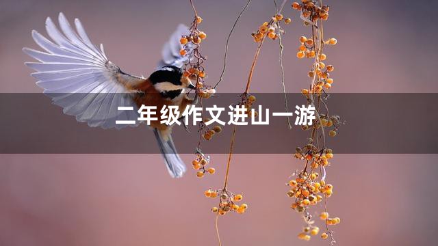 二年级作文进山一游
