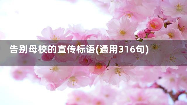 告别母校的宣传标语(通用316句)