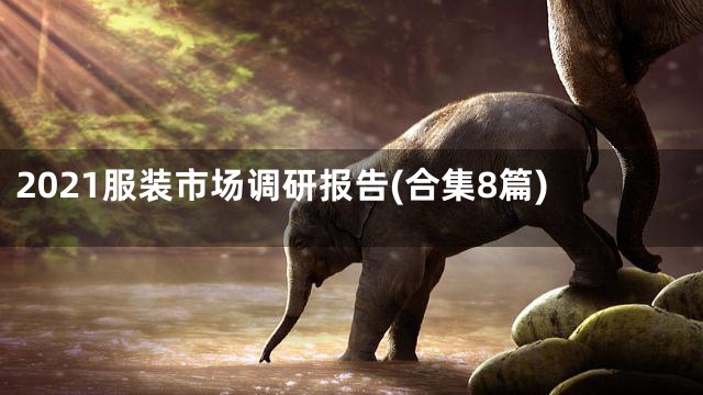 2021服装市场调研报告(合集8篇)
