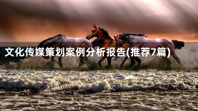 文化传媒策划案例分析报告(推荐7篇)