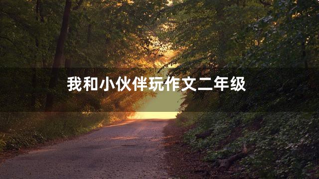 我和小伙伴玩作文二年级