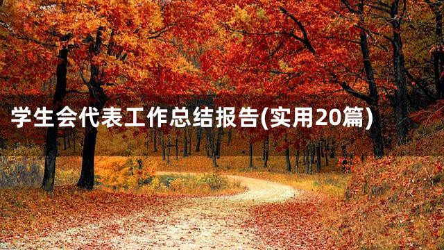 学生会代表工作总结报告(实用20篇)