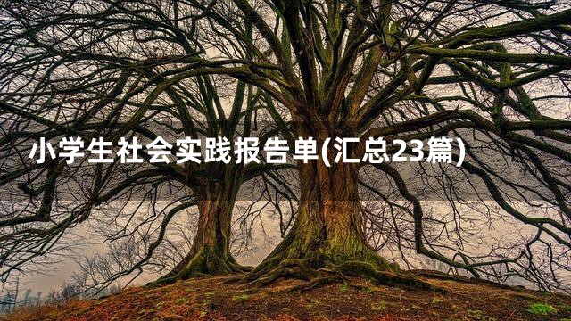 小学生社会实践报告单(汇总23篇)