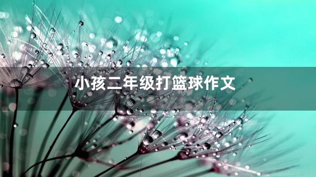 小孩二年级打篮球作文