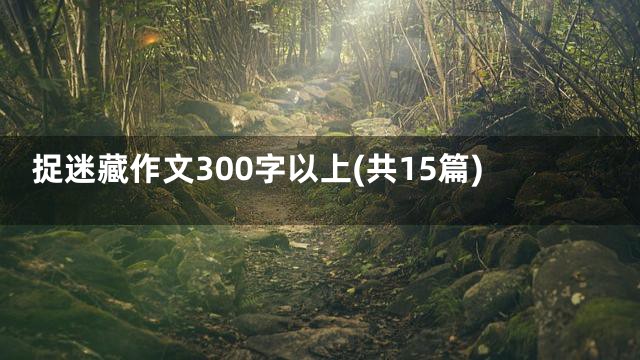 捉迷藏作文300字以上(共15篇)