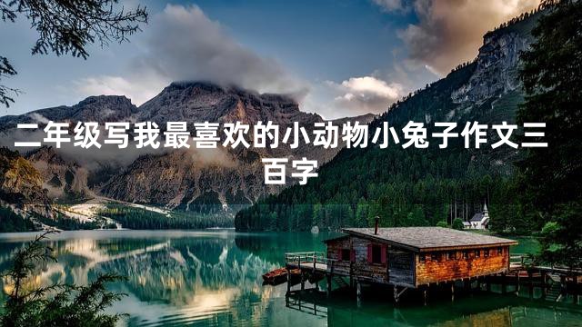 二年级写我最喜欢的小动物小兔子作文三百字