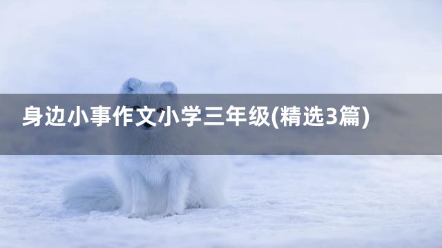 身边小事作文小学三年级(精选3篇)
