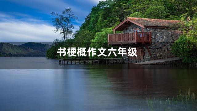 书梗概作文六年级