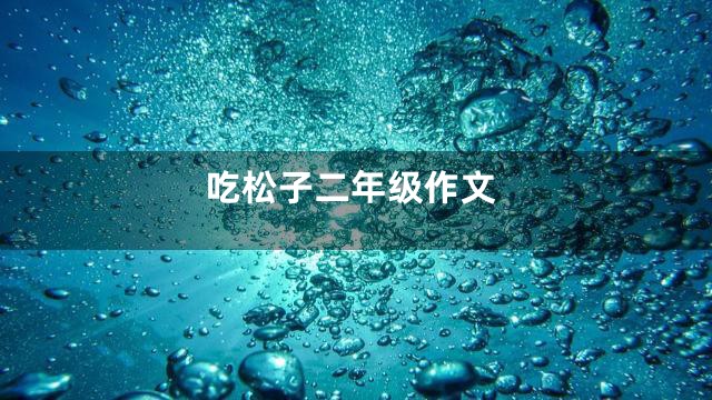 吃松子二年级作文