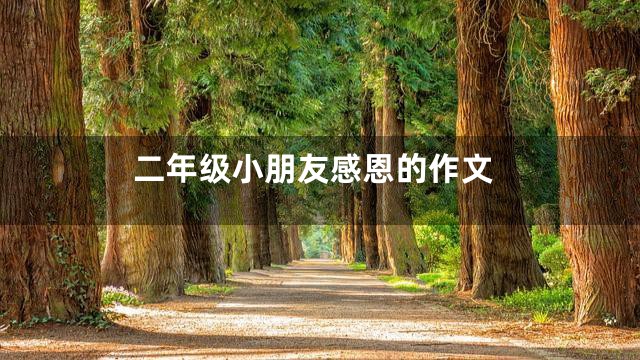 二年级小朋友感恩的作文