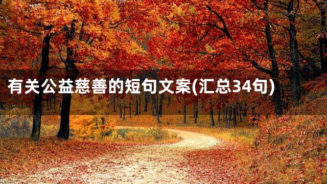 有关公益慈善的短句文案(汇总34句)