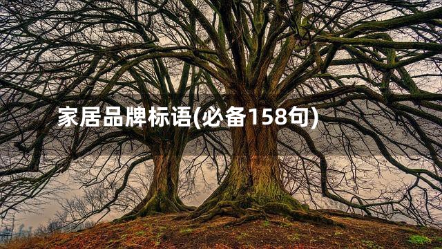 家居品牌标语(必备158句)