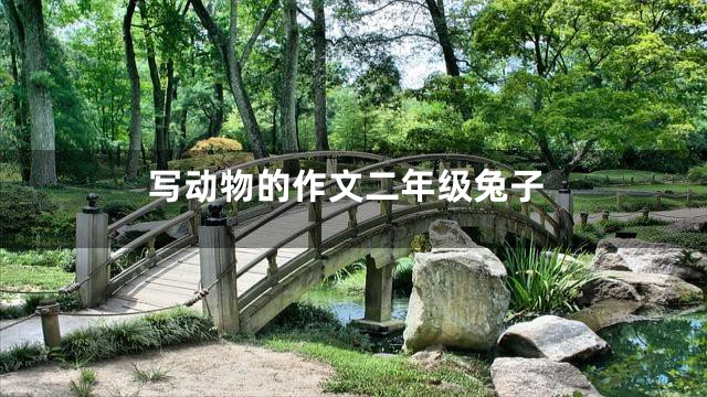 写动物的作文二年级兔子