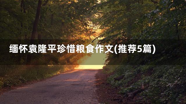 缅怀袁隆平珍惜粮食作文(推荐5篇)