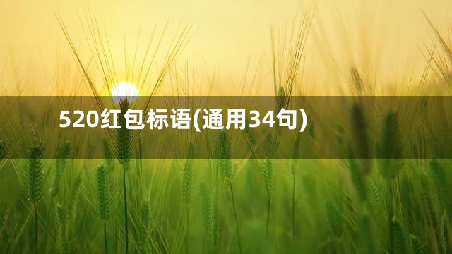 520红包标语(通用34句)