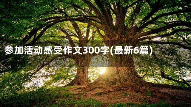 参加活动感受作文300字(最新6篇)