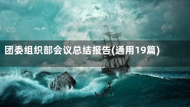 团委组织部会议总结报告(通用19篇)