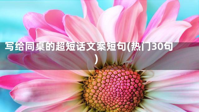 写给同桌的超短话文案短句(热门30句)