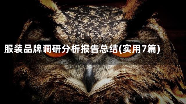 服装品牌调研分析报告总结(实用7篇)
