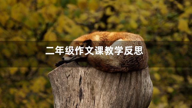 二年级作文课教学反思