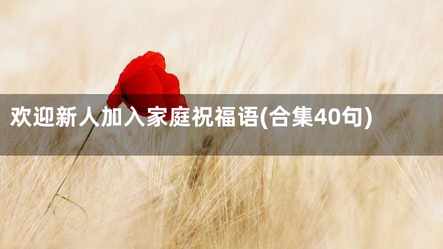 欢迎新人加入家庭祝福语(合集40句)