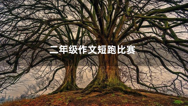 二年级作文短跑比赛