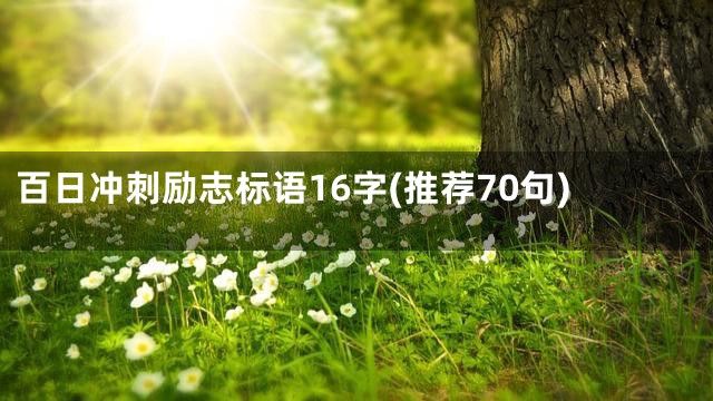 百日冲刺励志标语16字(推荐70句)