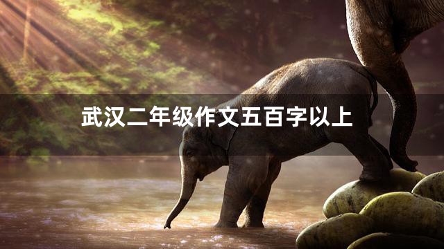 武汉二年级作文五百字以上