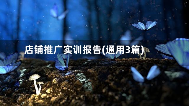 店铺推广实训报告(通用3篇)