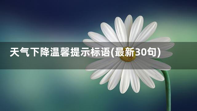天气下降温馨提示标语(最新30句)