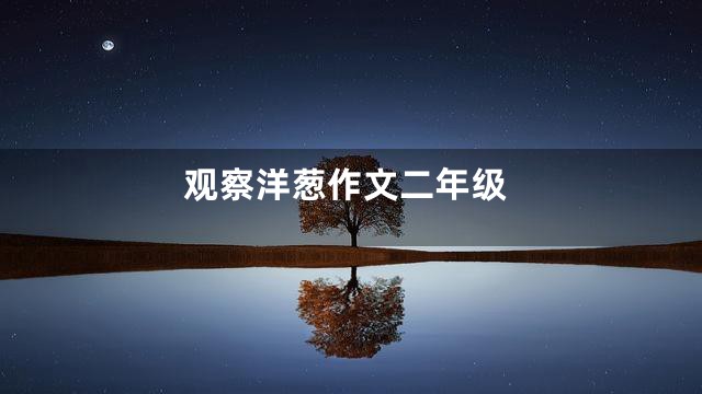 观察洋葱作文二年级