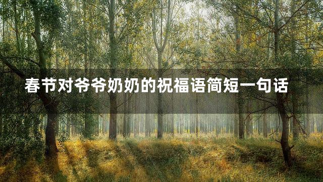 春节对爷爷奶奶的祝福语简短一句话